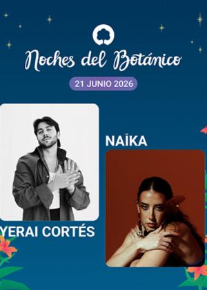 Concierto de Yerai Cortés en Madrid