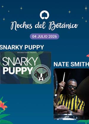 Concierto de Snarky Puppy + Nate Smith en Madrid