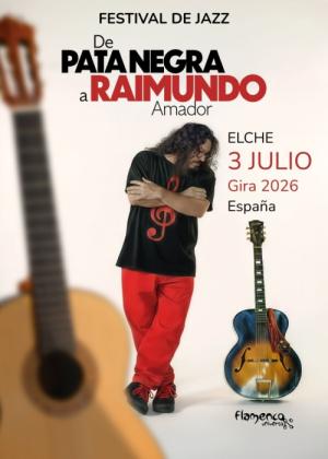 Concierto de Raimundo Amador en Elche