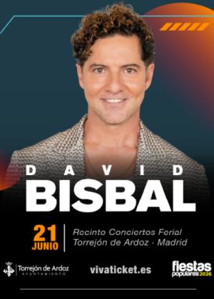 Concierto de David Bisbal en Torrejón de Ardoz