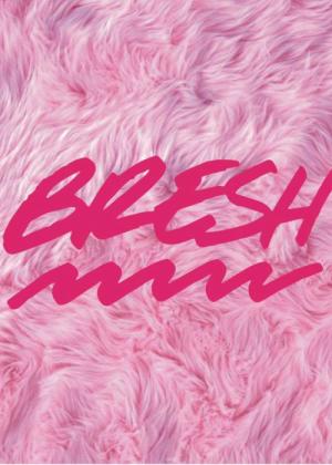 Fiesta BRESH en Cuenca