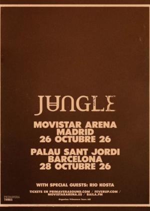 Concierto de Jungle en Barcelona