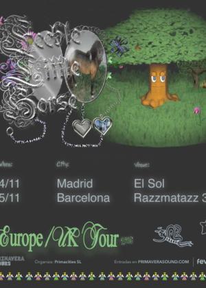Concierto de Feeble Little Horse en Madrid