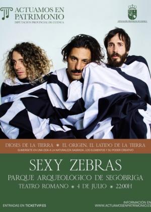 Concierto de Sexy Zebras en Cuenca