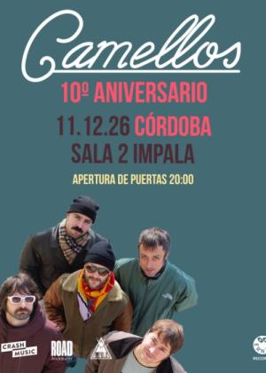 Camellos en Córdoba