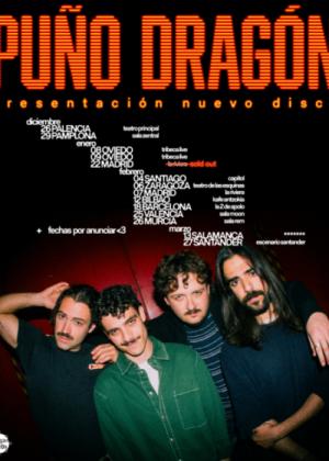 Puño Dragón