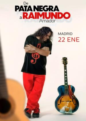 Concierto de Raimundo Amador en Madrid
