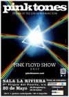 Concierto de Pink Tones en Madrid