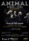 Concierto de A.N.I.M.A.L. en Madrid