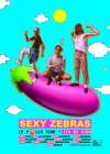 Concierto de Sexy Zebras en Zaragoza