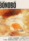 Concierto de Bonobo en Barcelona