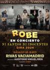 Concierto de Robe en Madrid