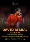 Concierto de David Bisbal en Alicante