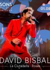 Concierto de David Bisbal en Girona