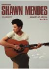 Concierto de Shawn Mendes en Madrid