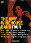 The Amy Winehouse Band en Valencia