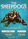 Concierto de The Sheepdogs en Madrid
