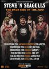 Concierto de Steve 'N' Seagulls en Sevilla