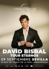 Concierto de David Bisbal en Sevilla