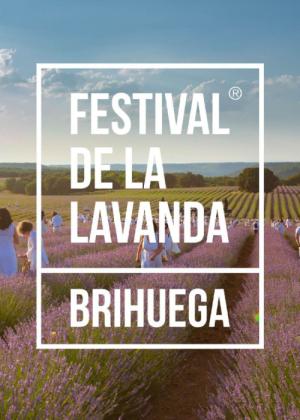 Festival de la Lavanda de Brihuega
