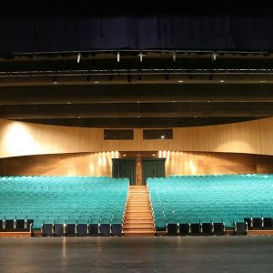 Teatro y auditorio municipal Francisco Nieva de Valdepeñas