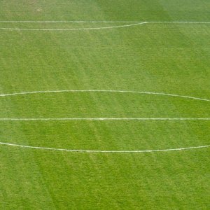 Estadio Municipal Francisco Peraza "La Manzanilla"