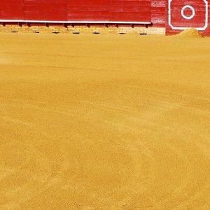Plaza de Toros de La Roda