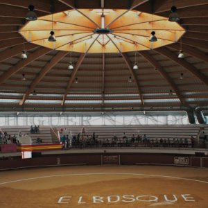 Plaza de Toros Cubierta de El Bosque