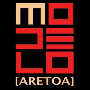 Modelo Aretoa 