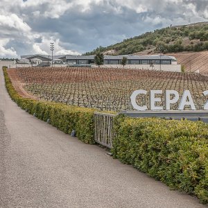 Bodegas/Restaurante Cepa 21