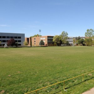 Complejo Deportivo San Amaro