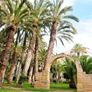 Parque Municipal de Elche
