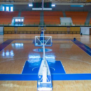 Pazo dos Deportes Paco Paz