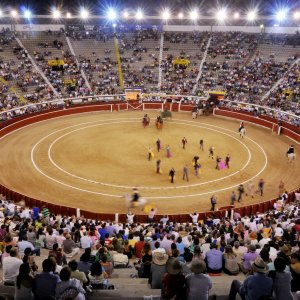 Plaza de Toros de Soria "La Chata"