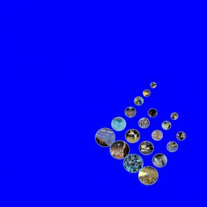 Multiusos Fontes Do Sar