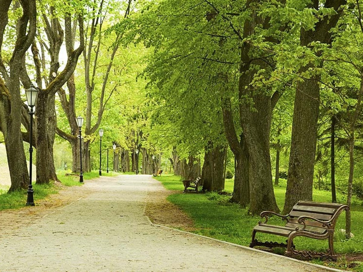 Parque de A Cachada