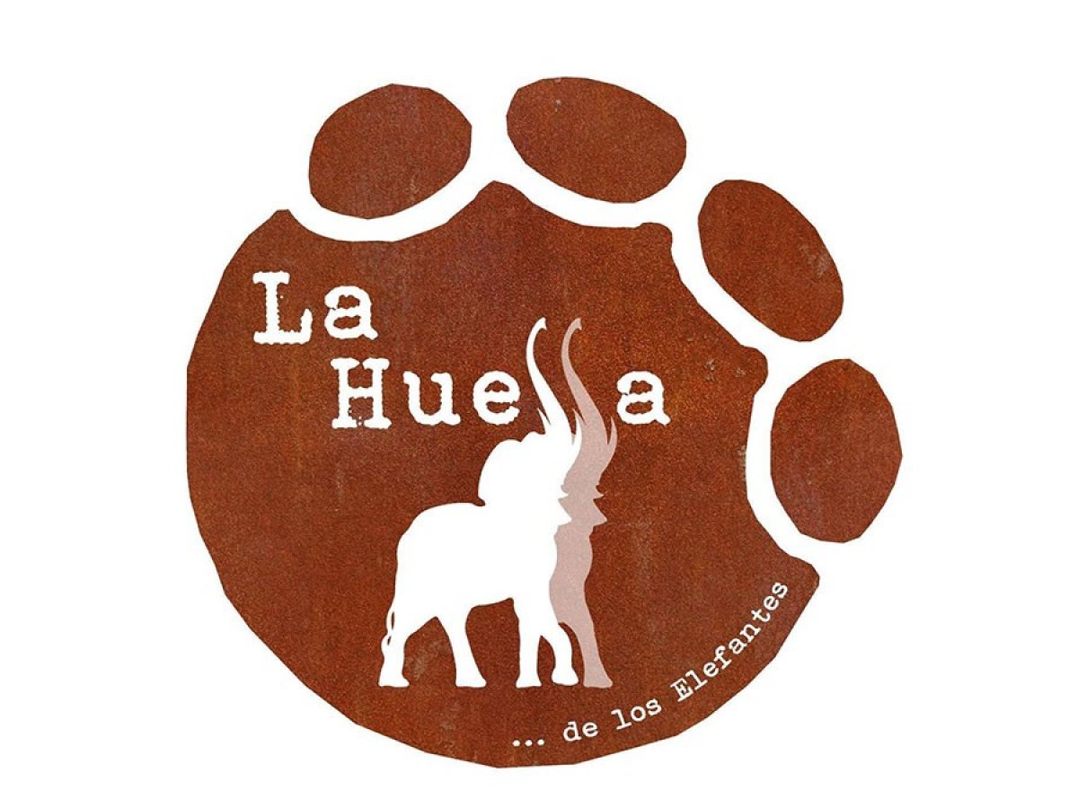 La Huella de los Elefantes de Cuenca