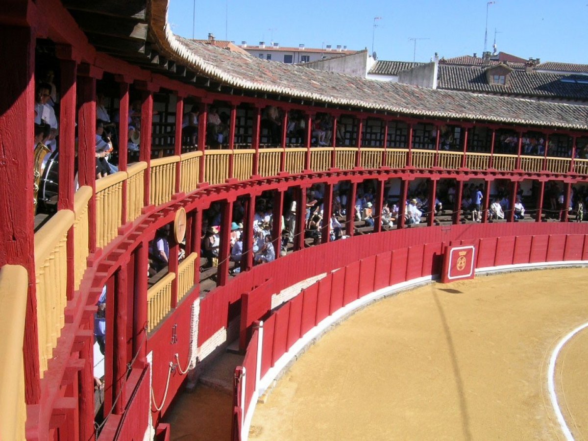 Plaza de Toros de Toro