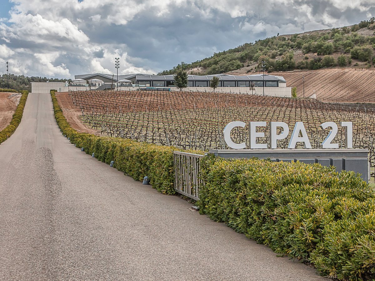 Bodegas/Restaurante Cepa 21