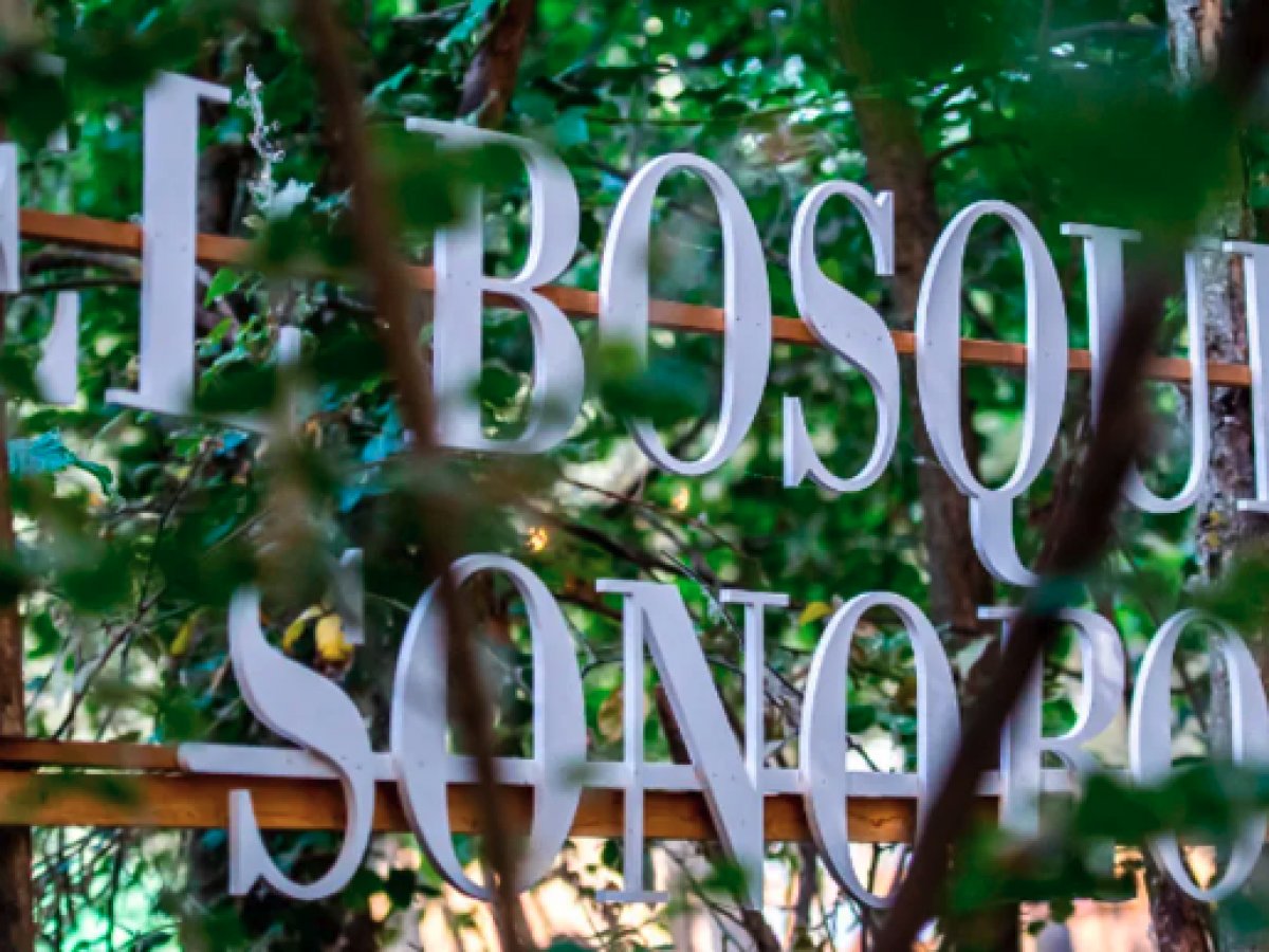 Bosque Sonoro