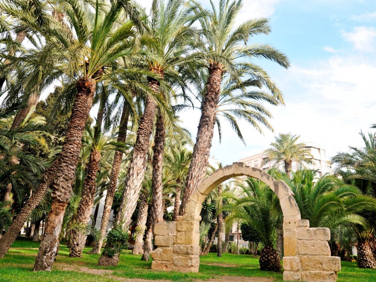 Parque Municipal de Elche