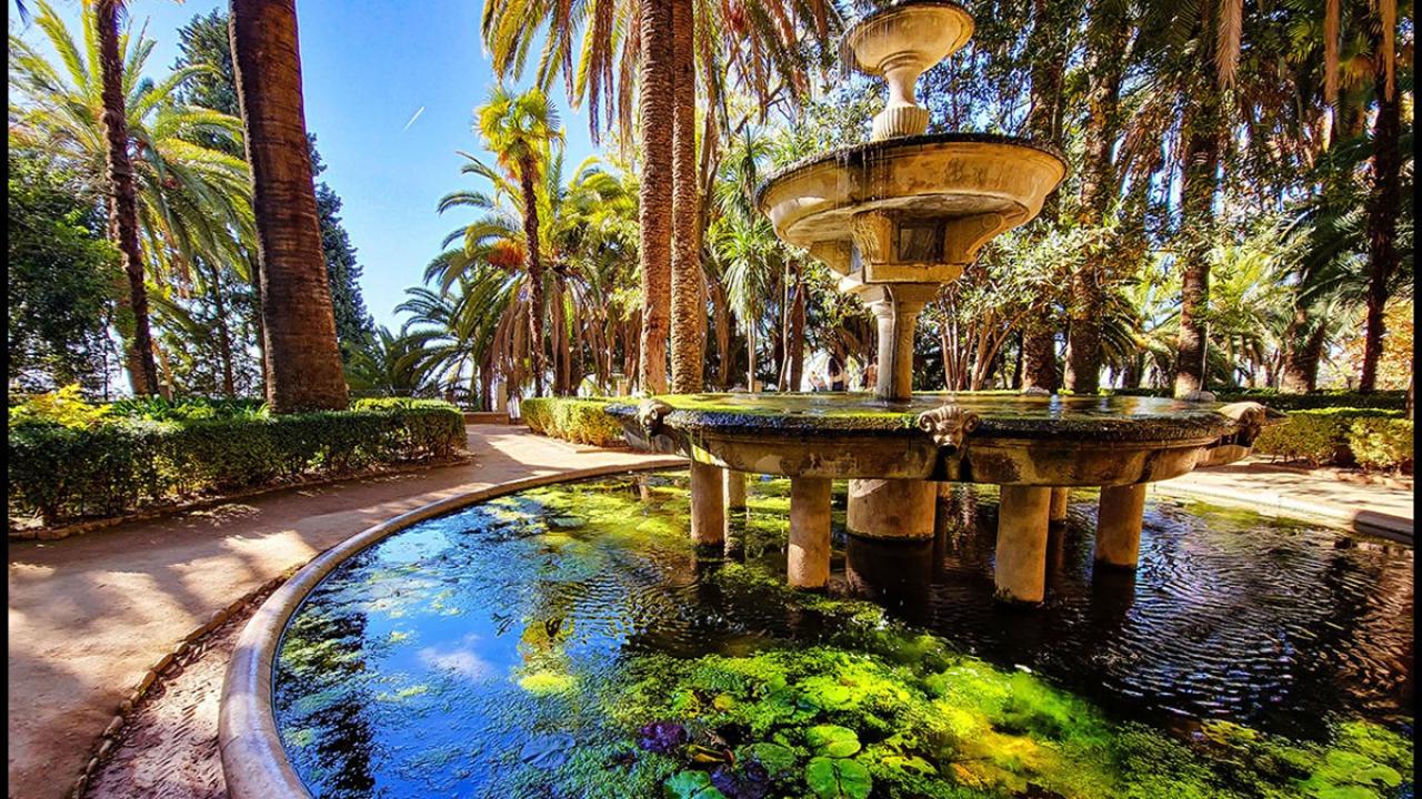 Logo de Carmen de los Mártires