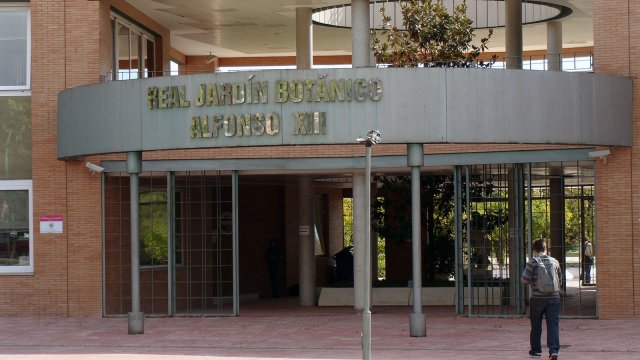  Real Jardín Botánico Alfonso XIII