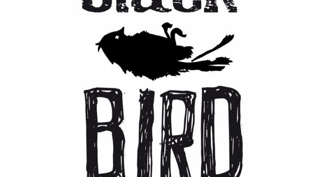 Sala Black Bird Club (Santander)