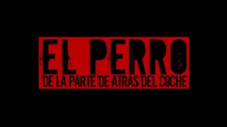 El Perro de la Parte de Atrás del Coche