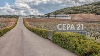 Bodegas/Restaurante Cepa 21