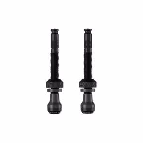 Schwalbe Clik Valve Tubelessventil