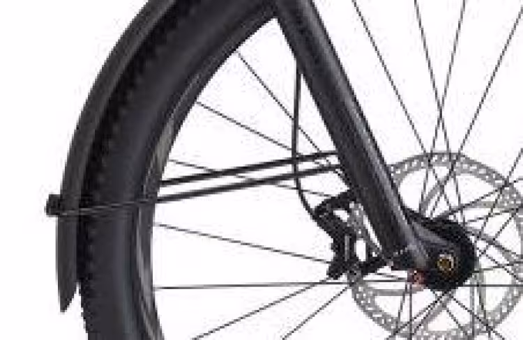 Giant Fender Schutzblech-Streben für Stance/Embolden E+ EX