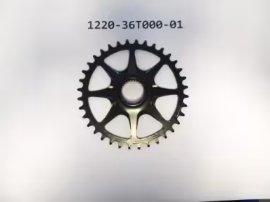 Giant / Liv Kettenblatt für E-Bikes (2019/2020)