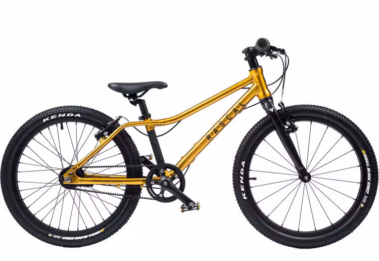 Rascal Bikes Rascal 20